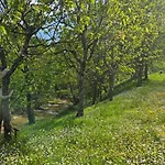 Borgo Corniola Naturista Alojamento de Acomodação e Pequeno-almoço