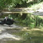 Borgo Corniola Naturista Marradi