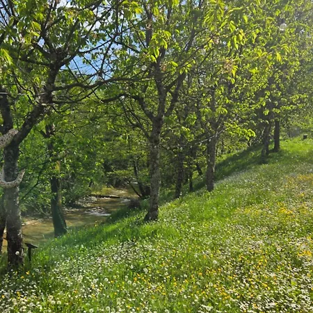 Borgo Corniola Naturista Bed and breakfast