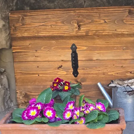 Borgo Corniola Naturista *