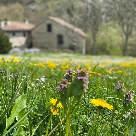 Borgo Corniola Naturista *