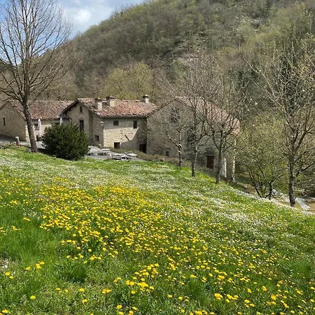 Borgo Corniola Naturista Bed and breakfast
