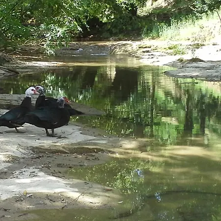 Borgo Corniola Naturista מראדי