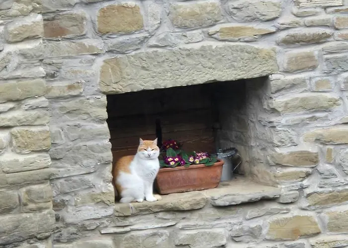 Borgo Corniola Naturista B&B 마라디