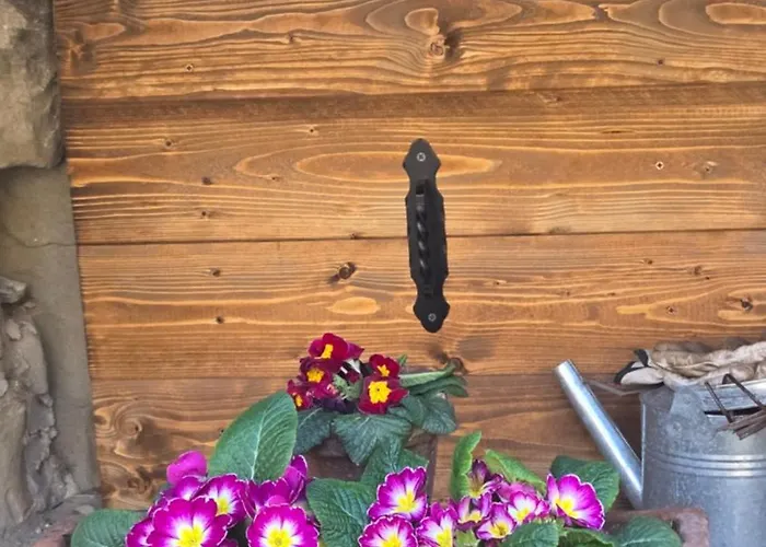 Borgo Corniola Naturista *