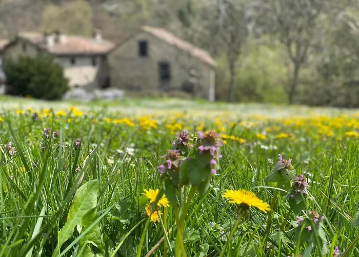 Borgo Corniola Naturista *