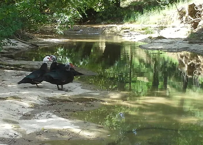 Borgo Corniola Naturista 마라디