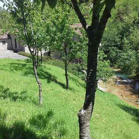 Borgo Corniola Naturista